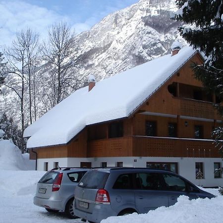 Apartmaji In Sobe Bohinjsko Jezero Ukanc Esterno foto