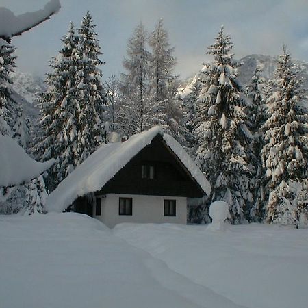 Apartmaji In Sobe Bohinjsko Jezero Ukanc Esterno foto