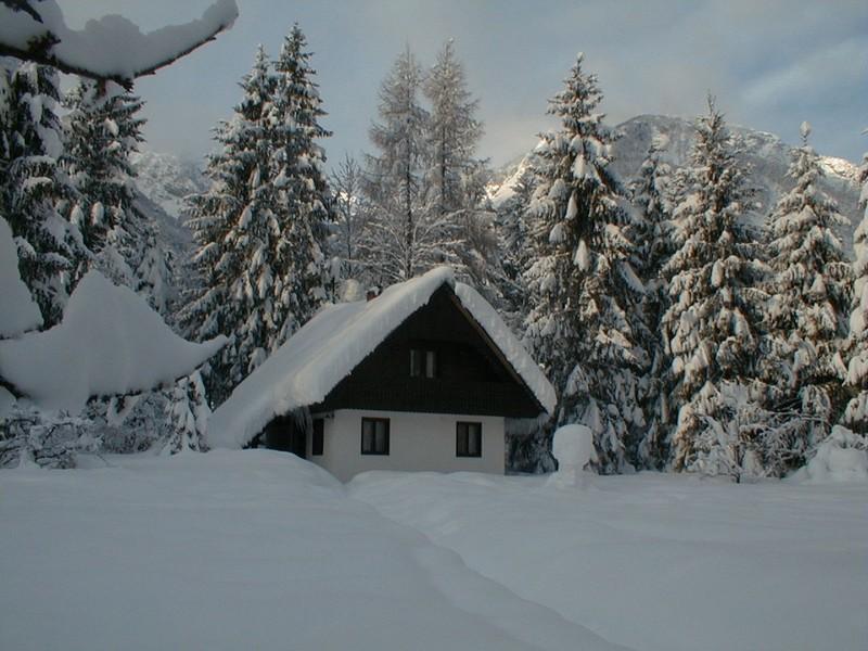 Apartmaji In Sobe Bohinjsko Jezero Ukanc Esterno foto